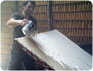 Lait d'hevea versé sur la nappe de coton