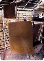 Nappe en cuir végétal